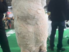 -富临轩私房菜(集庆门大街店)