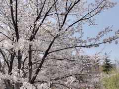 -堤角公园