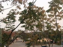 -鹅湖玫瑰文化园