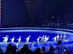 -珠海横琴长隆《卡卡虎奇遇记》