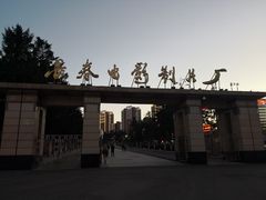 门面-长影旧址博物馆