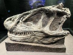 -自贡恐龙博物馆