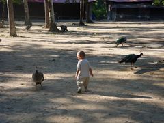 -秦皇岛野生动物园