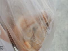 -安徽阜阳卷馍(西单店)