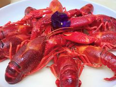 熟醉小龙虾-玫瑰厅上海菜(兴国路店)