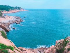 -广东惠东海龟国家级自然保护区