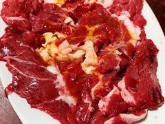 三角肉-鞍山戰