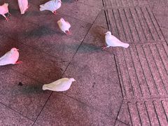 -万达广场(广州番禺店)
