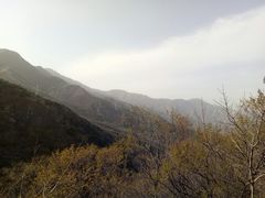 -北京鹫峰国家森林公园