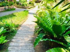 -Ohkajhu Organic Farm Sansai