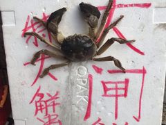 -江杨农产品批发市场