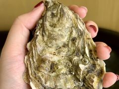 -斯普汇生蚝牛排馆(中骏世界城店)