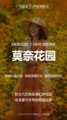 点击看大图 -芳妮豆丁家庭影像馆(宝安店)