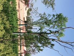 -盘龙城国家考古遗址公园