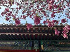 -潭柘寺景区