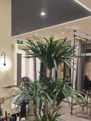 -凯博K-boom Hair Salon