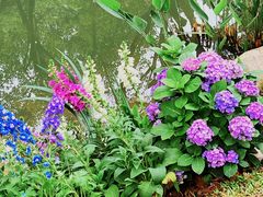 -人民公园(罗湖区)