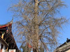 -金堂县云顶石城风景区