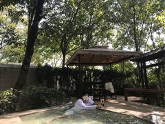 -汤山温泉房车营地 茶温泉