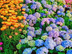 -荔湾湖公园