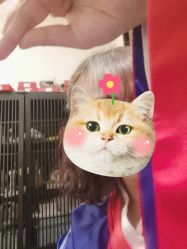 -盘子女人坊古装写真摄影(天津总店)