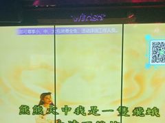 -温莎KTV(珠江路店)
