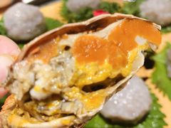 -旺小胖小龙虾