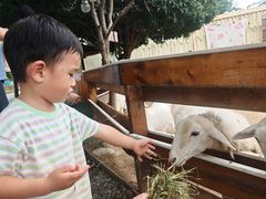 -HERRE·FARM 赫尔露营农场·团建聚会包场