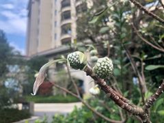 -中国港口博物馆