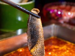 -二荆条·蜀鲜汇城市森林火锅