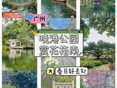 -晓港公园