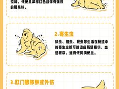 -申普宠物医院·心脏介入·心血管微创(总院)