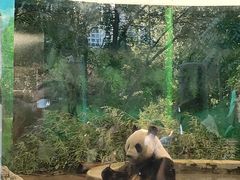 -天津市动物园
