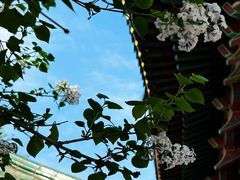 -滕王阁旅游区