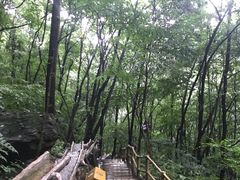 -老界岭旅游度假区