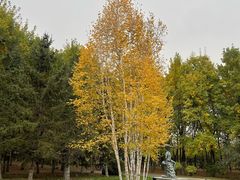 -弘安丽水温泉酒店