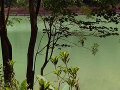 -广州白江湖森林公园