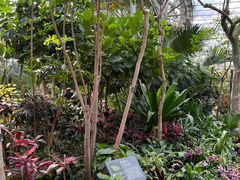 -北京植物园-展览温室