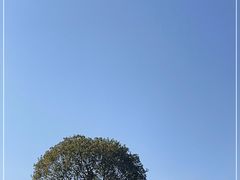 -龙泉青瓷博物馆