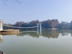 -东湖落雁景区