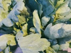 -王家渡火锅店(棕榈泉店)