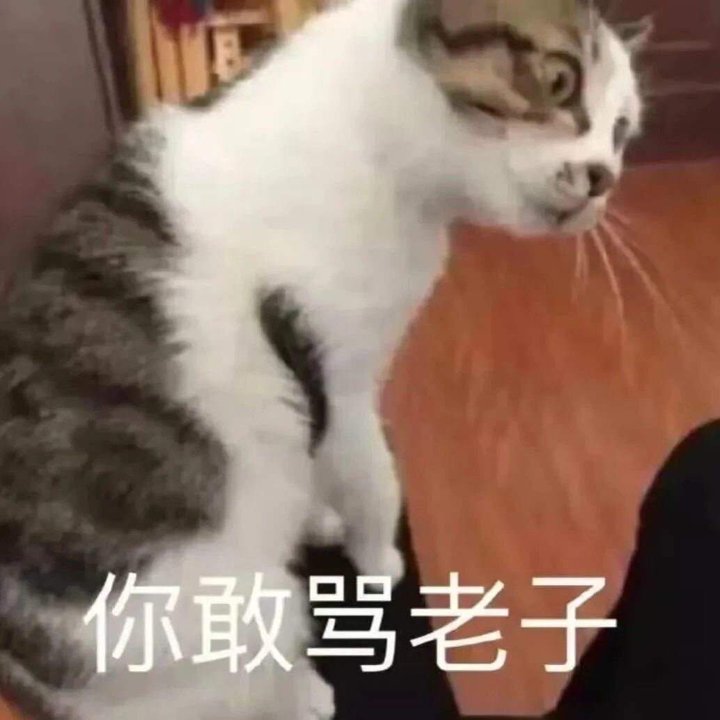 n小猫咪的表情包
谁会不想拥有呢
哪有比小猫咪更可爱的小动物呢 