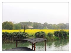 -乌镇景区