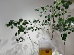 -喜茶(迪士尼小镇DP店)