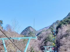 -朱雀国家森林公园