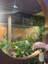 -花隐·美芙炫海菲秀皮肤管理中心