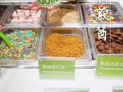 -Salud撒露欧洲冻酸奶(蓝色港湾店)
