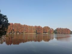 -东湖落雁景区