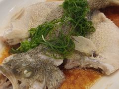 -金华安大酒楼·老牌潮菜·粤式茶点(东方国际店)