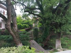 -东林大峡谷
